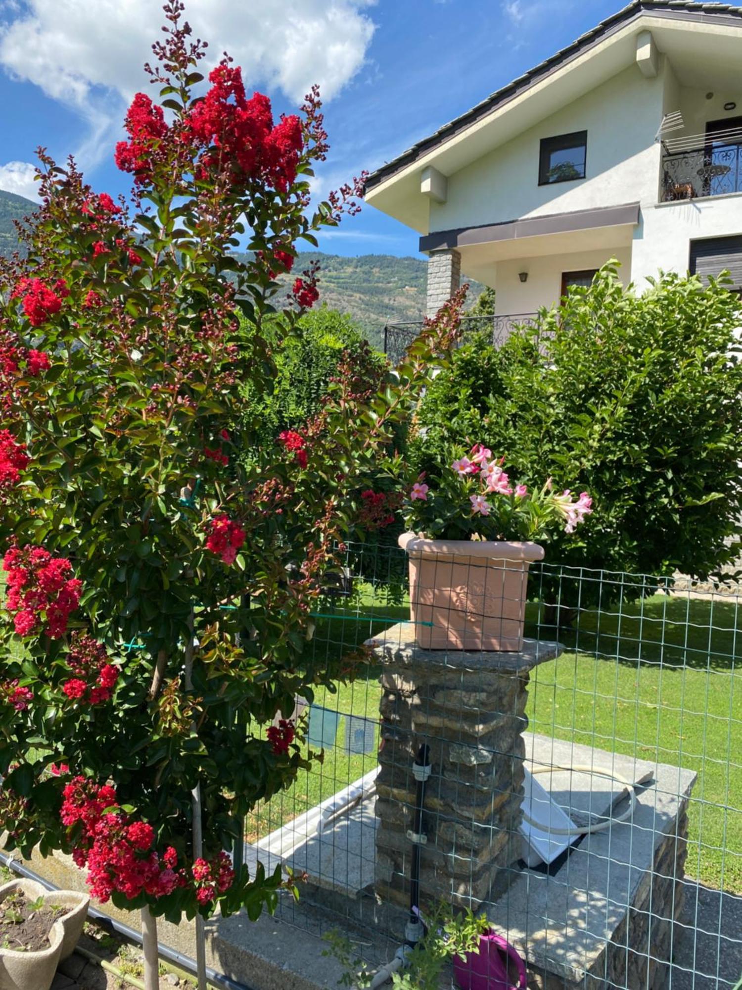 Il Tiglio Gressan Aosta Exterior foto